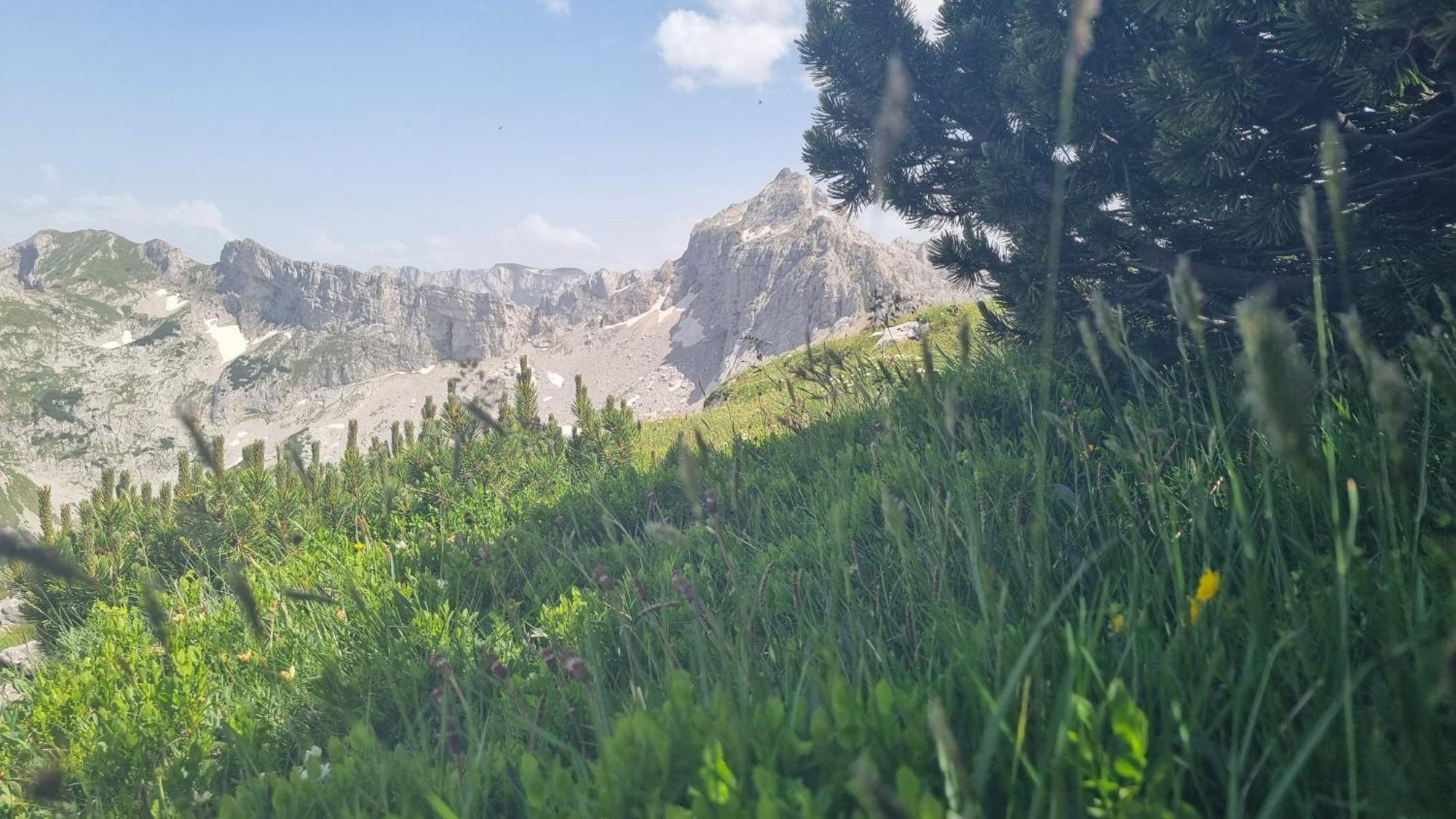 מלון זבליאק Durmitor Glamp מראה חיצוני תמונה